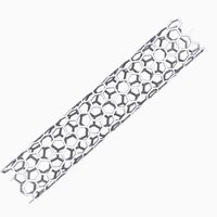 Carbon Nanotube