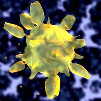 Virus 20