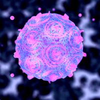 Virus 18