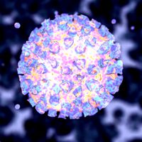 Virus 17