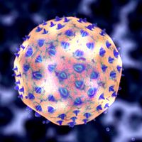 Virus 10