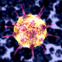 Virus 9
