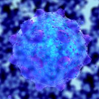 Virus 7