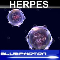 Herpes Virus