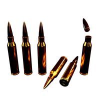Lapua Magnum 338 Bullet 1