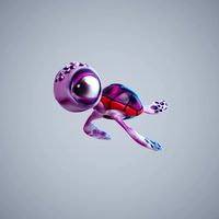 Turtle Cute