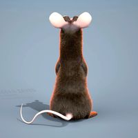 Funny Cartoon Rat (Fur )