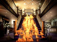 Fire Reveal