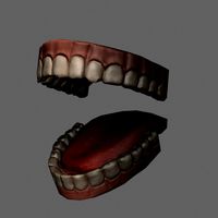 Low Poly Teeth