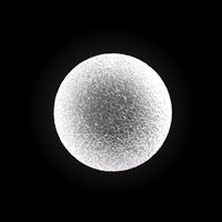 egg cell - ovum