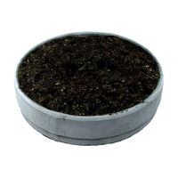 Empty flower bed