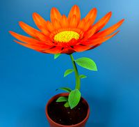 Cartoon Daisy Red Flower
