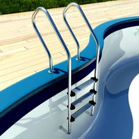 Swimming Pool Ladder