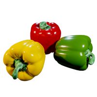 Bell Pepper