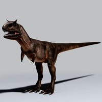 Carnotaurus