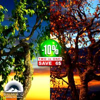 Broadleaf Trees 2in1 Vol5
