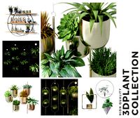 Decorative Leaf Tree Plant Pot Hanging Partition Shelf collection
