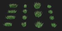 Grass Pack