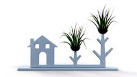 Air Plant Decor