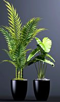 plants 102