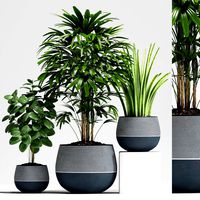 plants 194