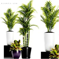 plants set 158