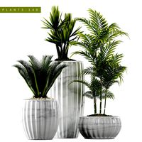 plants set 140