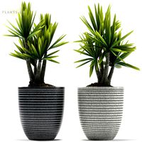 plant 88