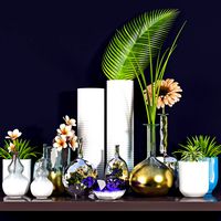 vases vol 5