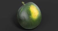 Watermelon A