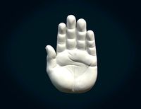 Palm