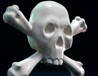 skull with bones relief