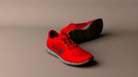 Worn Nike Free Run 3 sneakers