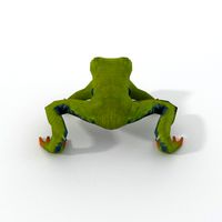 Green frog with red eyes