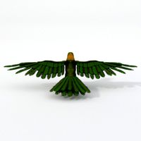 Green Parrot