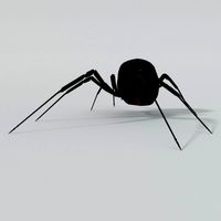 Black Widow