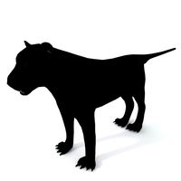 Panther