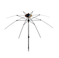 Parasol 07