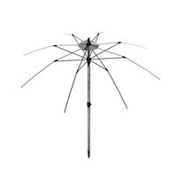 Parasol 04