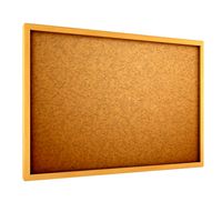 Cartoon Cork Board