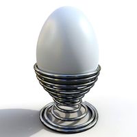 egg