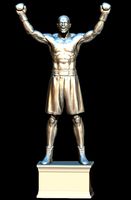 boxer winner ,pugile