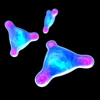 Cell