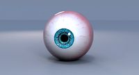 eye ball