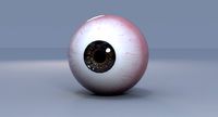 eye ball