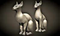 Egypt cat