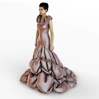 Evening dress 1