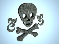 Skull
