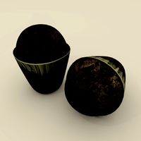 Chocolate muffin
