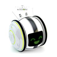 Cute rolling bot toy IV